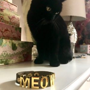 BCBG “MEOW” cat lovers bracelet 😻